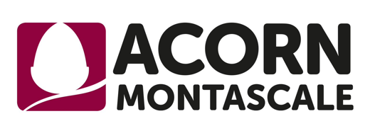 Acorn Montascale